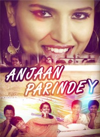Anjaan Parindey